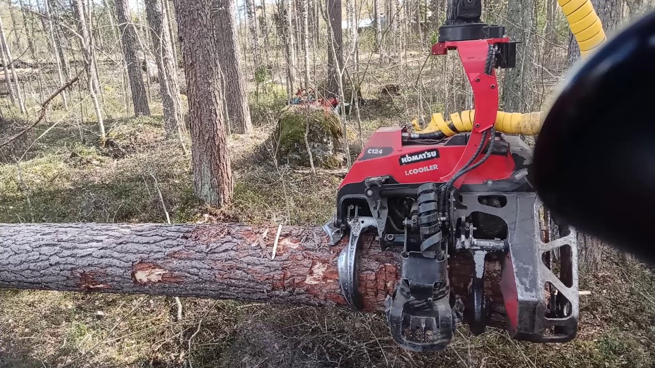 Komatsu 901xc VS big pine with c124