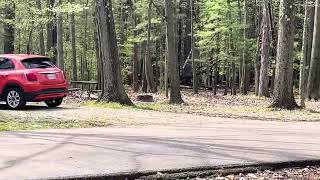 Shuttle Bus Camping for a night at Findley State Park by Adventures with Al 15 views 10 days ago 1 minute, 1 second