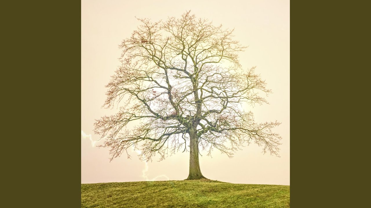 Guarda Time su YouTube Guarda Time su YouTube