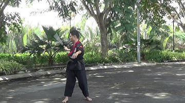 Break & Learn | Combo 2 | Single nunchaku | Kỹ thuật đơn côn | Hướng dẫn tập luyện côn nhị khúc