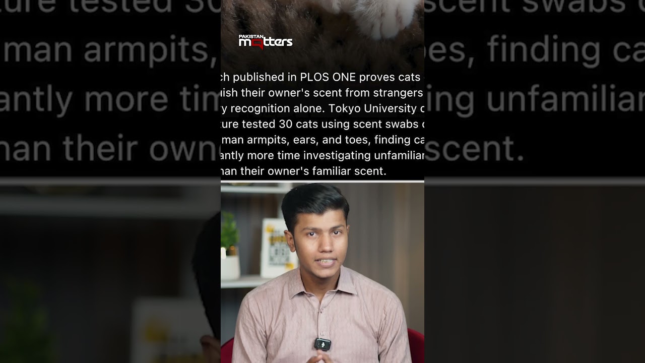 Not Your Voice or Face? The Secret Way Cats Identify Owners | Pakistan Matters