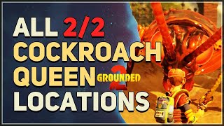 All Cockroach Queen Locations Grounded 2
