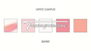 Hippo Campus - Bambi