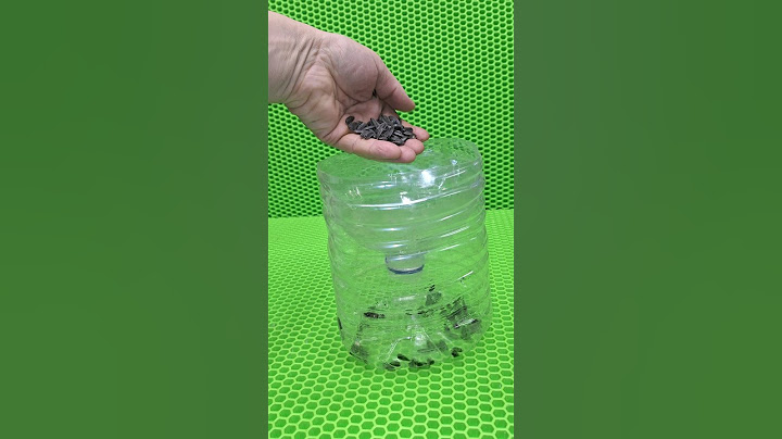 Самоделка из бутылки эффективная мышеловка своими руками #diy #tool #полезныесоветы #хитрости #совет