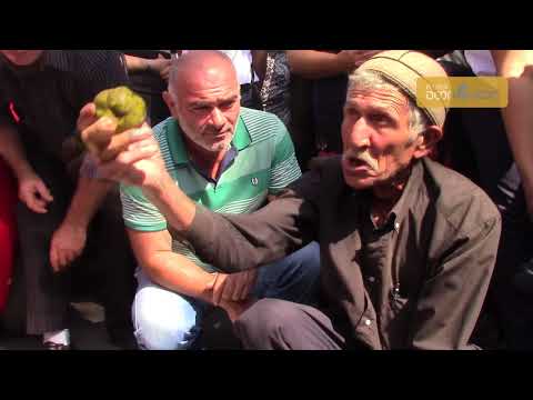 მოსახლეობამ სამხარეო ადმინისტრაციასთან გაფუჭებული მოსავალი მიიტანა