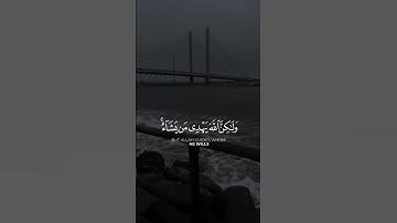 انك لا تهدي من احببت ولكن الله يهدي من يشاء #قرآن #تلاوة_خاشعة #راحة_نفسية #اكسبلور #لايك #تيك_توك