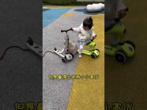 最幸福的事就是看他俩互相陪伴成长，这次一人一辆滑板车！🛴🐱#shorts #cat #catandbaby