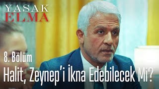 Halit, Zeynep'i ikna edebilecek mi? - Yasak Elma 8. Bölüm