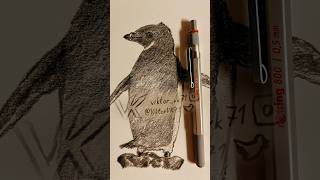 263 Paffendorf.mp3 Part 148