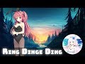 Nightcore Dj Splash Ring Dinge Ding