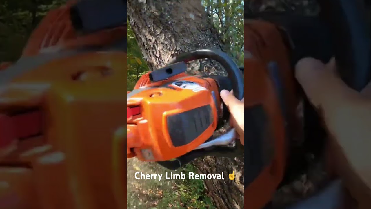 Cherry Limb Removal ☝️