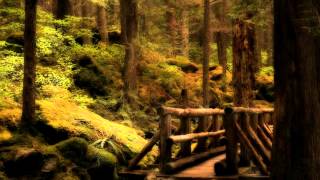Mozart - String Quartet No 20, K 499 - Smetana Quartet Wealth