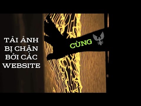 #1 Download ảnh/video bị chặn bởi các website Mới Nhất