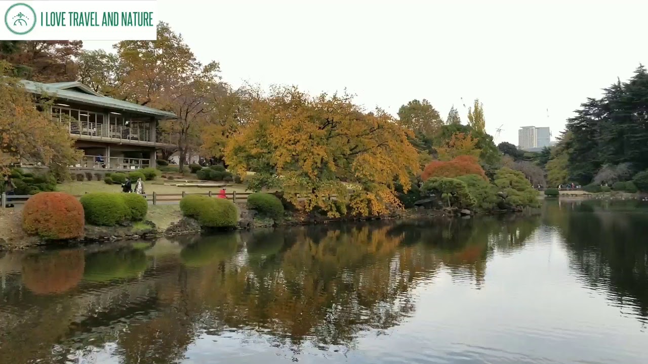 Autumn 2018 at Shinjuku Gyoen National Garden in Tokyo, Japan.