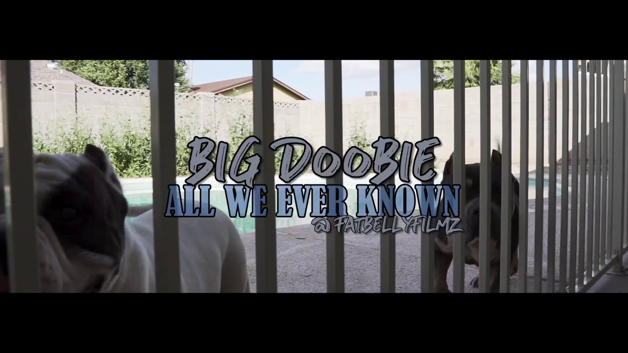 Big Doobie - That’s all we ever known (official  music video)