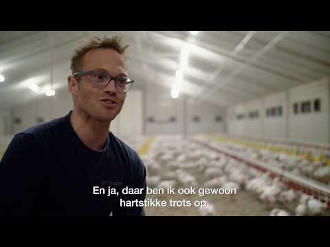 Video: Niet-overheidspensioenfonds 