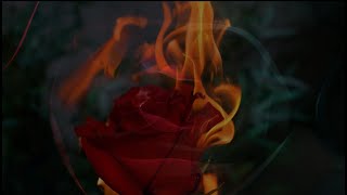 Uriah Heep  Blood Red Roses 1989