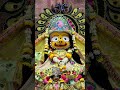 Flowers creative lifestyle #song #yashomatimaiyasenandlala #hanumanchalisa #love #trending #bhakti