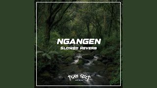 DJ Ngangen Remix (Slowed Reverb) -Inst