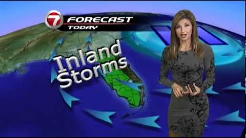 WSVN Weather Julie Durda looking hot in a grey dress
