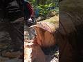 remove the base, to make the size, #woodworking #chainsaw #automobile #wood