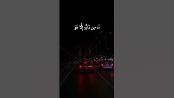 القارئ فارس عباد سورة هود (إِنِّى تَوَكَّلْتُ عَلَى ٱللَّهِ رَبِّى وَرَبِّكُم ...