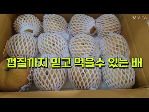 청정지역 함양에 몰약배와 <strong>배즙</strong> 곶감 감말랭이 김치용홍시 꾸지뽕 열매
