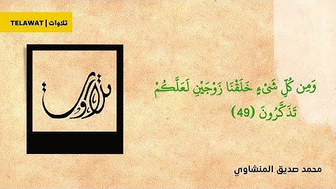 فَفِرُّوا إِلَى اللَّهِ ۖ إِنِّي لَكُم مِّنْهُ نَذِيرٌ مُّبِينٌ | المنشاوي يبدع بتلاوة فاقت الوصف 🎧