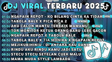 DJ TIKTOK TERBARU 2025🎵DJ NGAPAIN REPOT-KO TOLONG BILANG CINTA KA TIDAK🎵DJ TABOLA BALE X PICA PICA 2