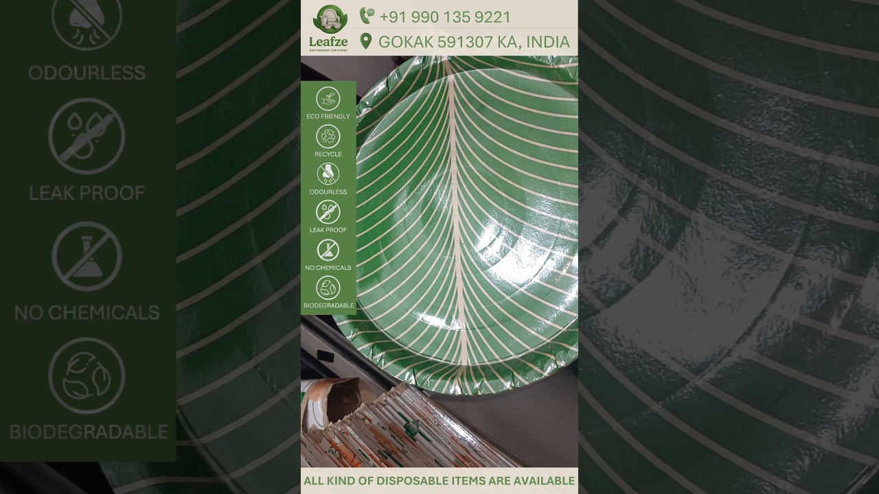 13" inch 120 GSM Kela pata paper plate by Leafze products 