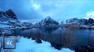 Morning Snowfall Walk in Reine, Lofoten, Norway 4k