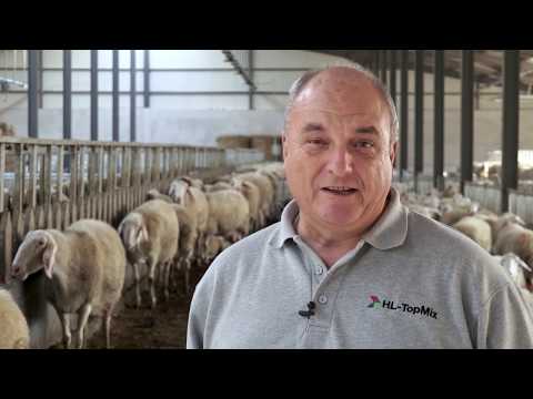 Видео: Как да храним овца: съвети от животновъди