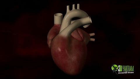 3D Medical Product Animation Showreel | Medical Animation in Maya