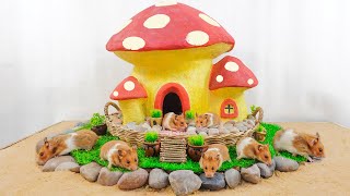 Build Hamster Maze   DIY Mud House Hamster Mushroom