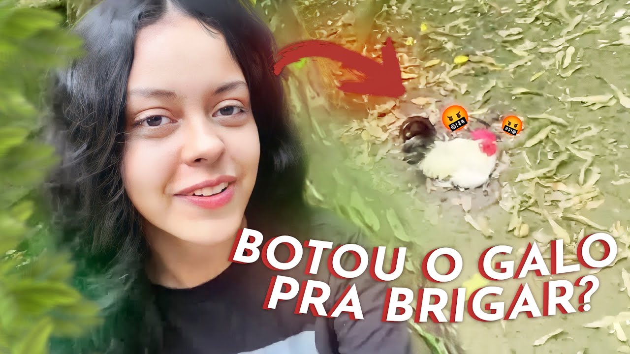 AMAZÔNIA SELVAGEM - CASA DA CHOKE7