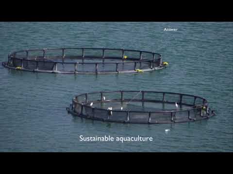 A new approach in aquaculture development in developing countries: The Haiti model
