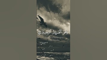 تلاوة خاشعة - سعد الغامدي