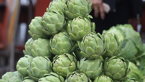 Bông Atiso Tươi Đà Lạt | Tuấn Nguyên Corp