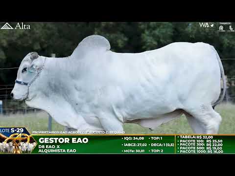 LOTE S29   GESTOR   EAO C 2344