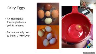 Egg & Food Safety screenshot 4
