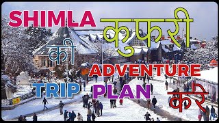 Best Tour Delhi to Shimla Kufri | Best Travel Adventure Shimla To ...