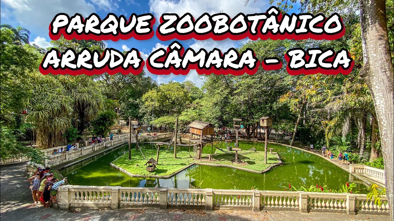 PARQUE ARRUDA CÂMARA (BICA), UM LUGAR EM JOÃO PESSOA QUE A CRIANÇADA ...