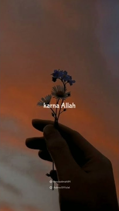 Ketika Kamu Mencintai Seseorang Karena Allah || Habib Luthfi Bin Yahya Said