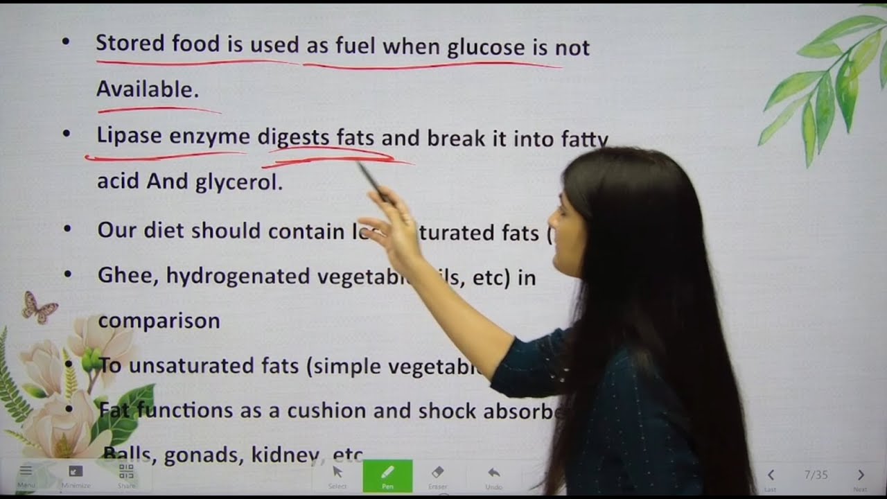 Carbohydrates & sugars Carbohydrates Definition, classification