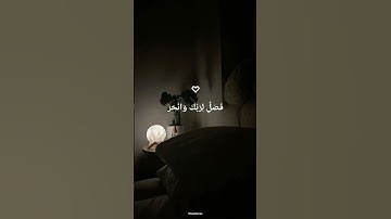سورة الكوثر بصوت خاشع يهز القلوب