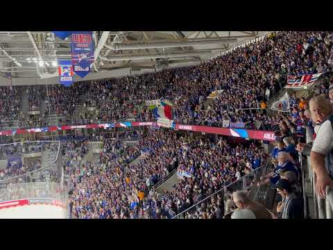 Adler Mannheim Fangesang