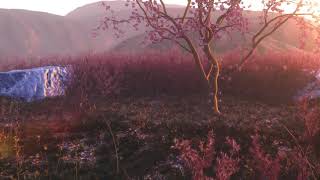 Blender 3d: Sunset at a Prairie