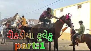 રીકડીયા ફુલેકુ#kathiyavadihorsedhanraj#fuleku#ghodo#kathiyavadifuleku#kudvavalaghoda