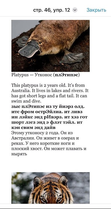 стр. 46, упр. 12. ГДЗ 4 класс (1 часть) Форвард (Forward) - YouTube