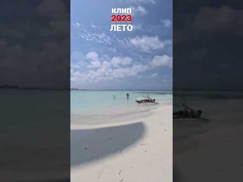 ТЭЛИК-ЛЕТО😎👍#shorts #клипы